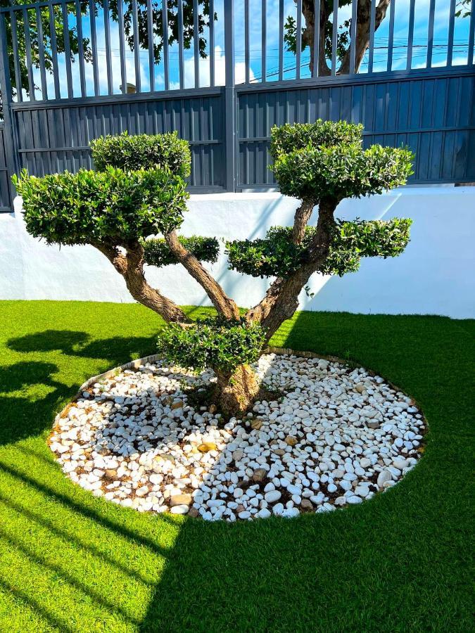 La Ibicenca Cordoba Apartment ภายนอก รูปภาพ