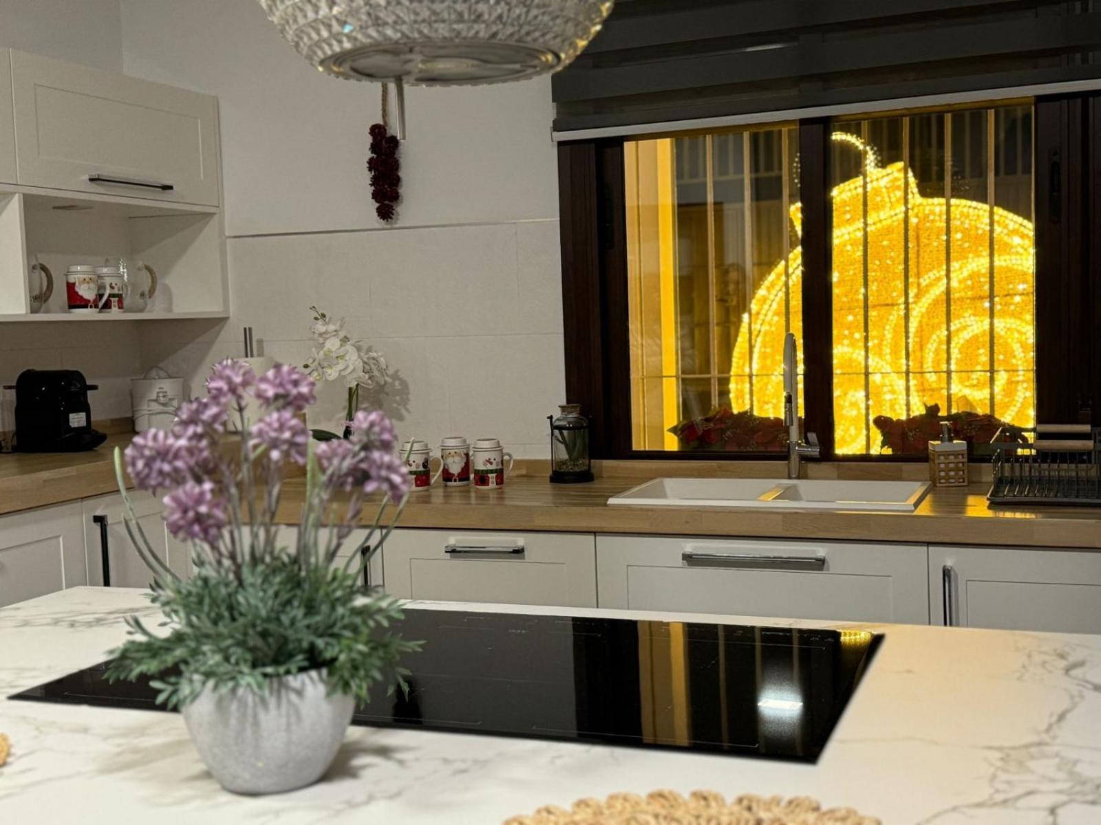 La Ibicenca Cordoba Apartment ภายนอก รูปภาพ